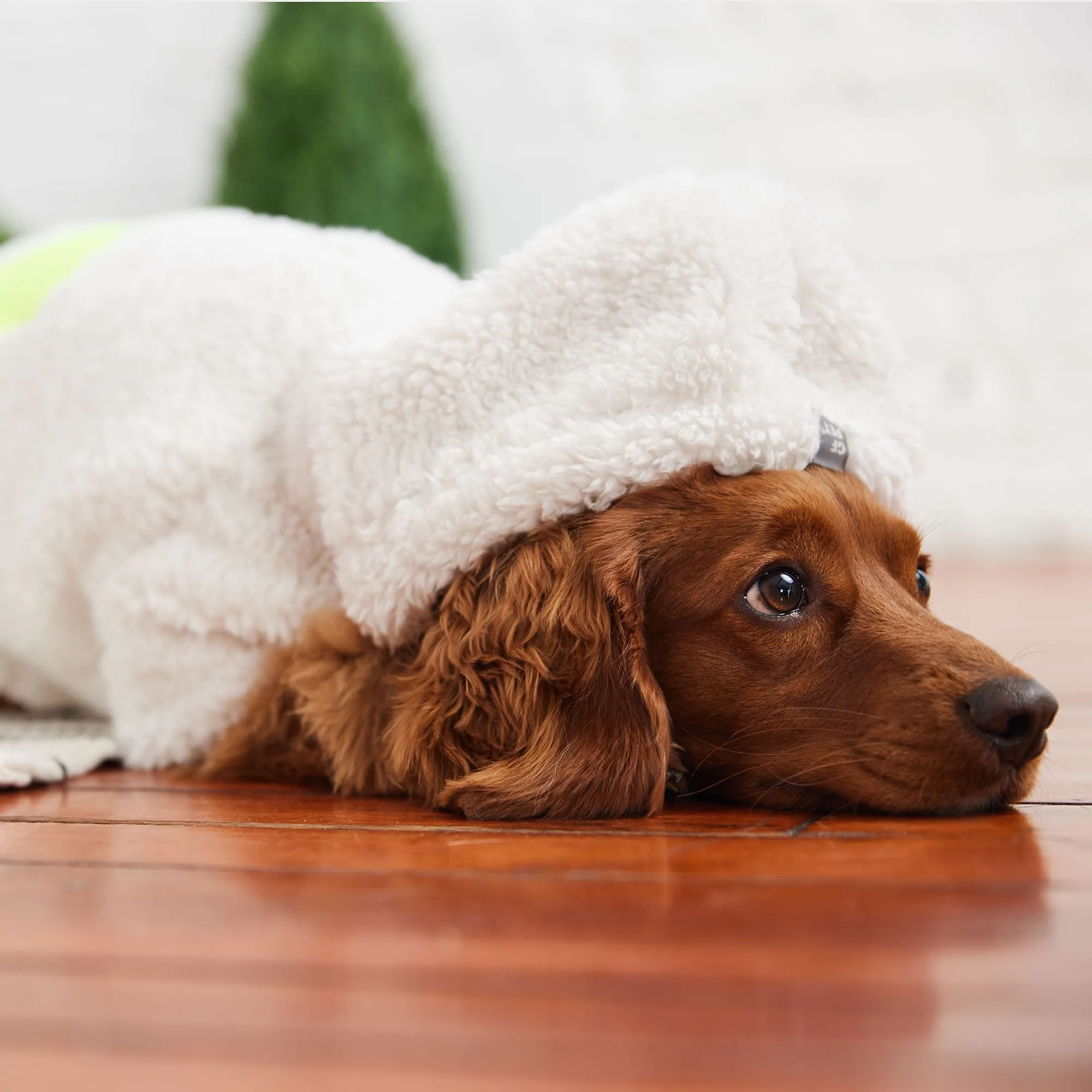 Super Soft Sherpa Fleece Dog Hoodie – Lightweight, Cozy, and Stylish