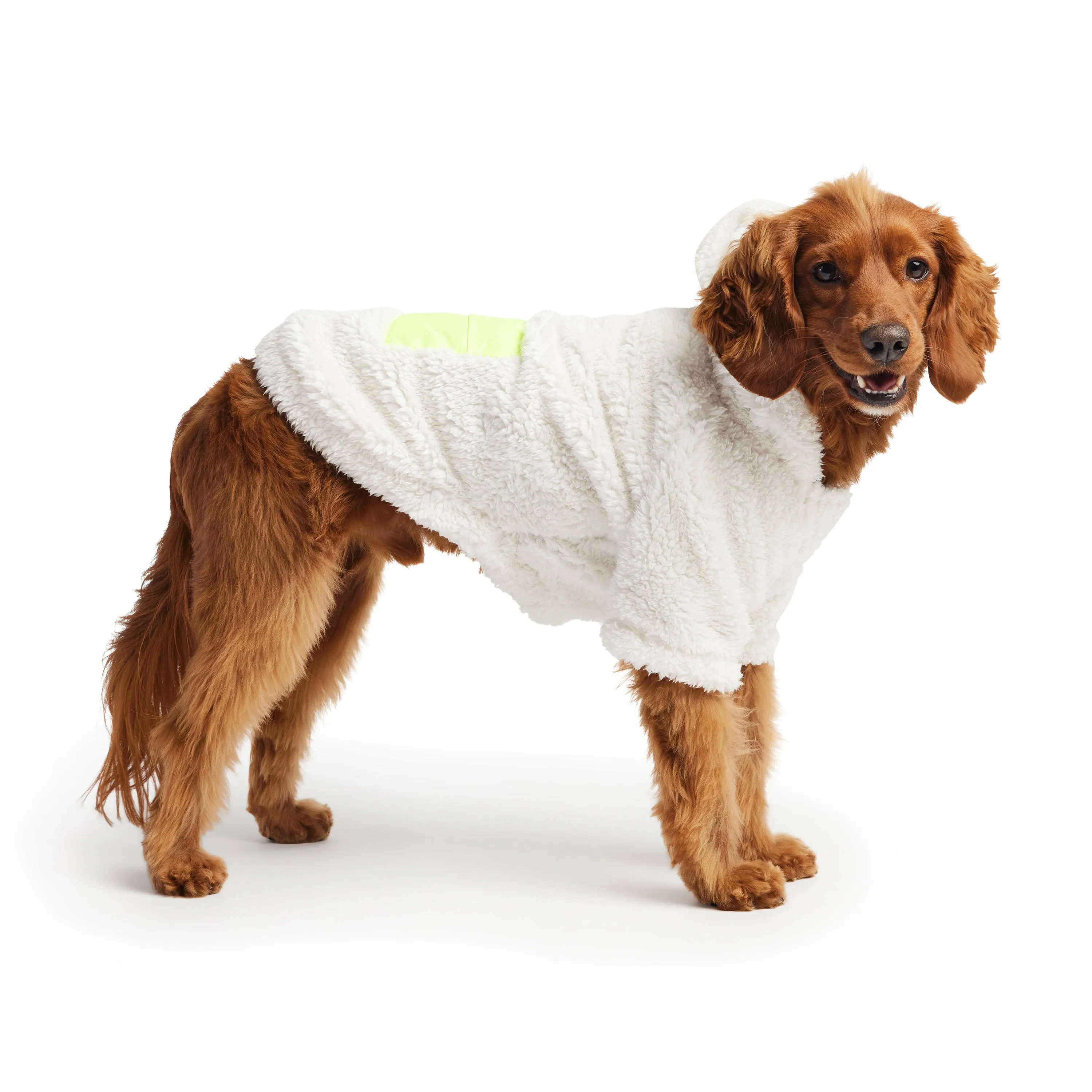 Super Soft Sherpa Fleece Dog Hoodie – Lightweight, Cozy, and Stylish